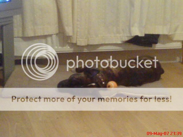 DSC00018.jpg