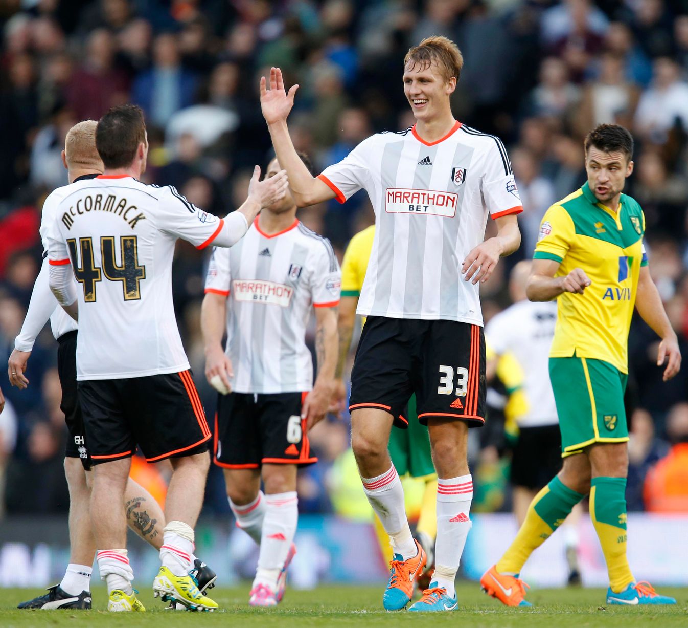 fulham-v-norwich-11.jpg
