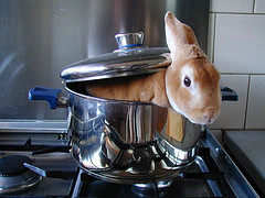 bunnyboiler.jpg