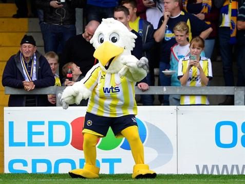 3e4d1eadc1a1a1965da8ae4747eee708--torquay-united-gull.jpg