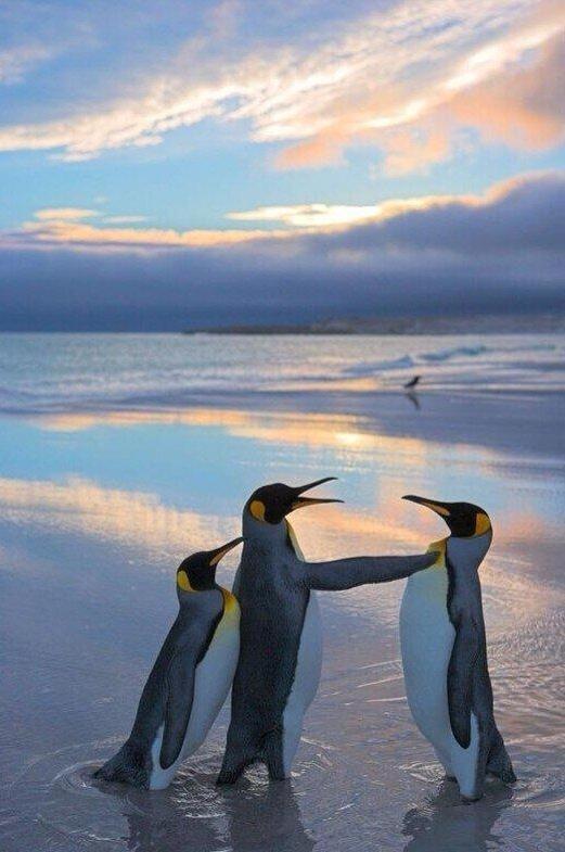 BRwG2AWCYAAnEnz.jpg:large