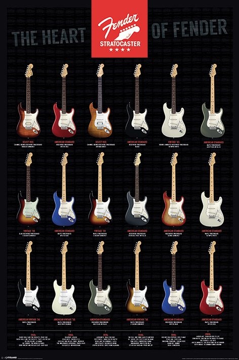 fender-stratocaster-the-heart-of-fender-i21018.jpg