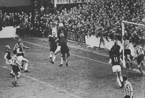 Image result for west ham sheffield united 1963