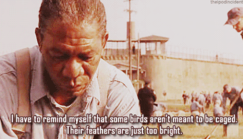 the-shawshank-redemption-gifs-ZFDy1O.gif