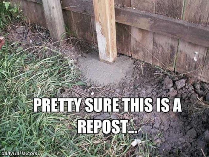 this_is_a_repost.jpg