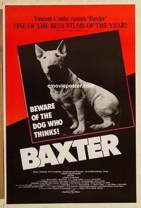 baxter.jpg