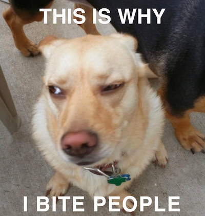 01.png