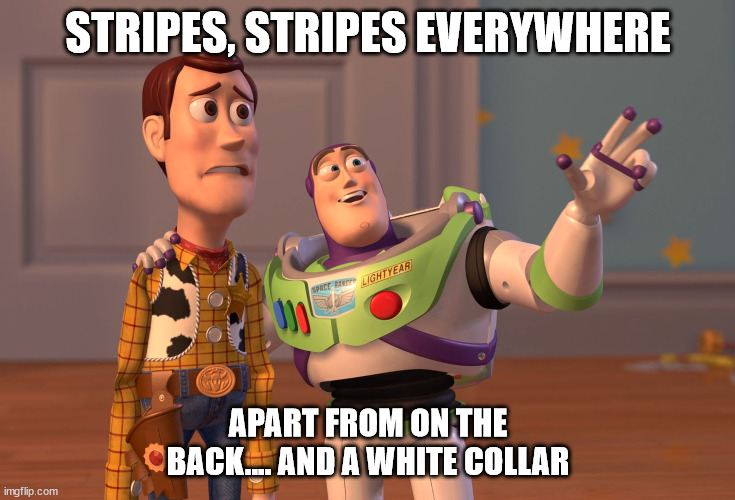 5fl7se.jpg