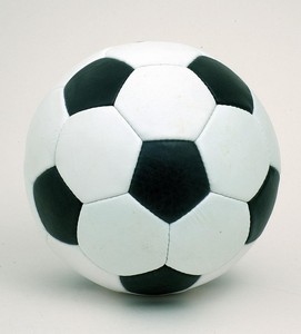 s-l300.jpg