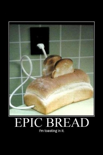 bread-the-hunger-games-31762578-333-500.jpg