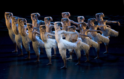 Swan-Lake.jpg
