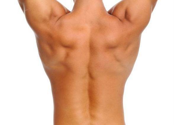 Lower-back.jpg